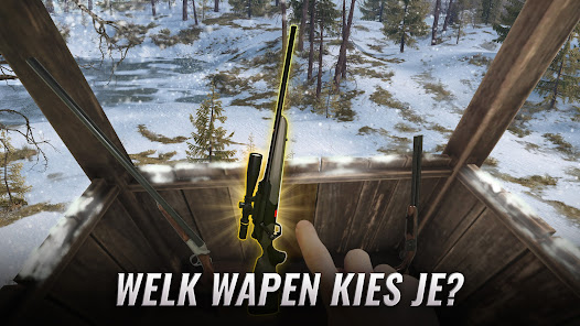 Screenshotafbeelding