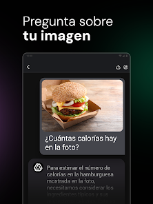 Imagen de la captura de pantalla