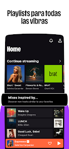 Imagen de la captura de pantalla