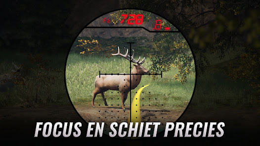 Screenshotafbeelding