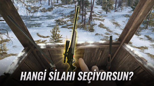 Ekran görüntüsü resmi