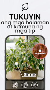 Screenshot na larawan