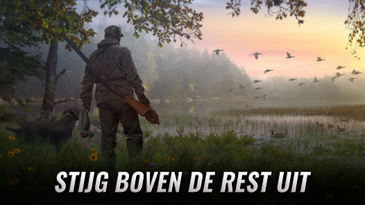 Screenshotafbeelding