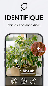 Imagem da captura de tela