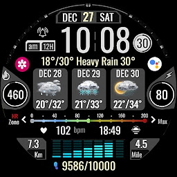 Icon image Informative Digital Weather A4