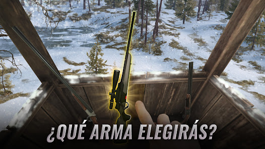 Imagen de la captura de pantalla